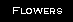 Flowers Photo Gallery